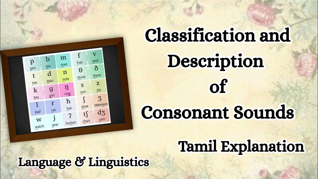 Classification and Description of Consonant Sounds | Tamil Explanation | Language & Linguistics 