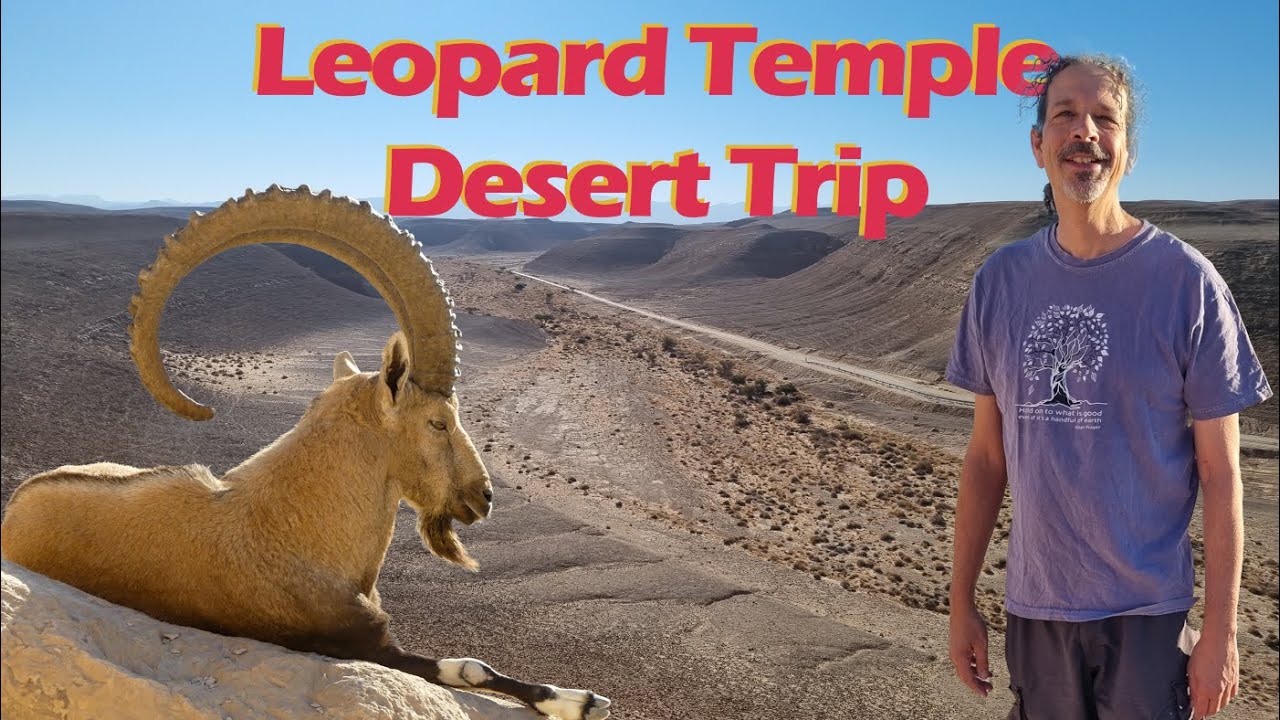 Yotvata and the Leopard Temple