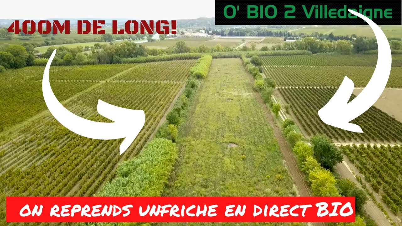 Reprise d'une ancienne friche de 4ans pour la passer un nouveau champ bio direct