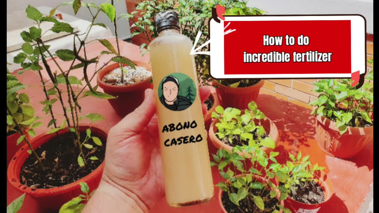 Easy organic fertilizer for any type of plant.
