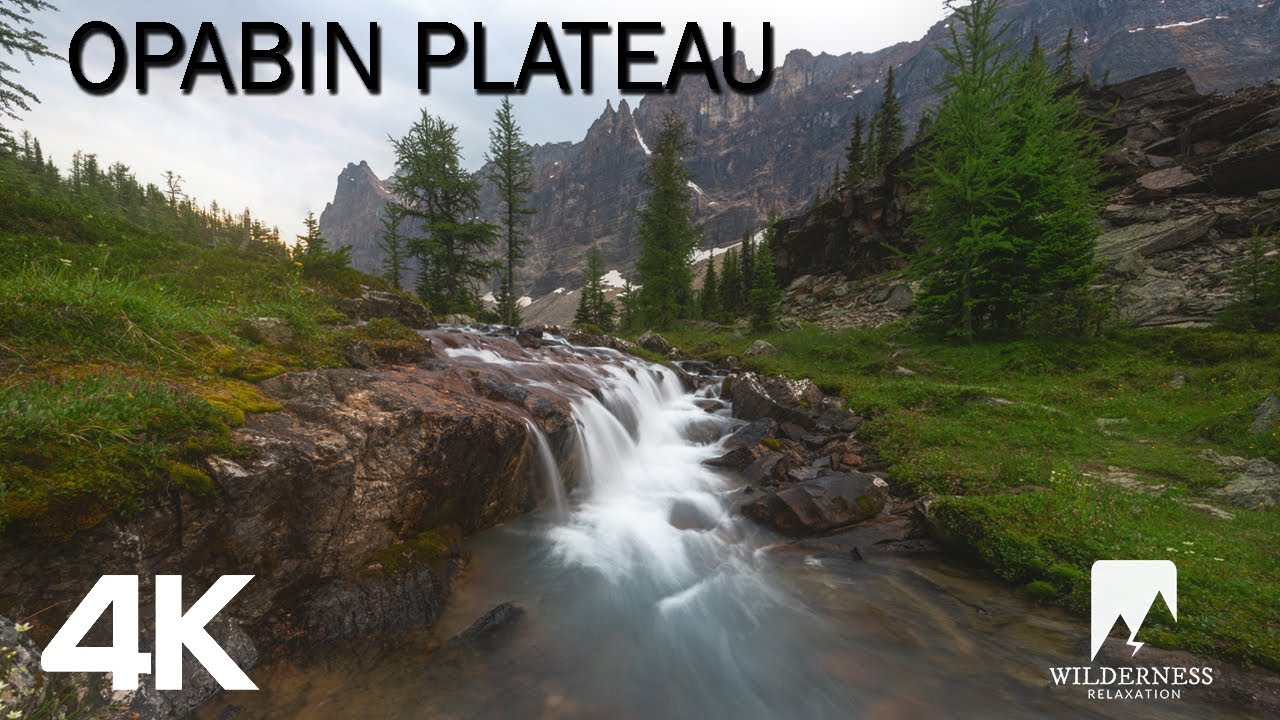 NATURE SOUNDS in 4K | Cascading Stream Opabin Plateau Hike | 8 Hours WATER sounds | SLEEP | STUDY