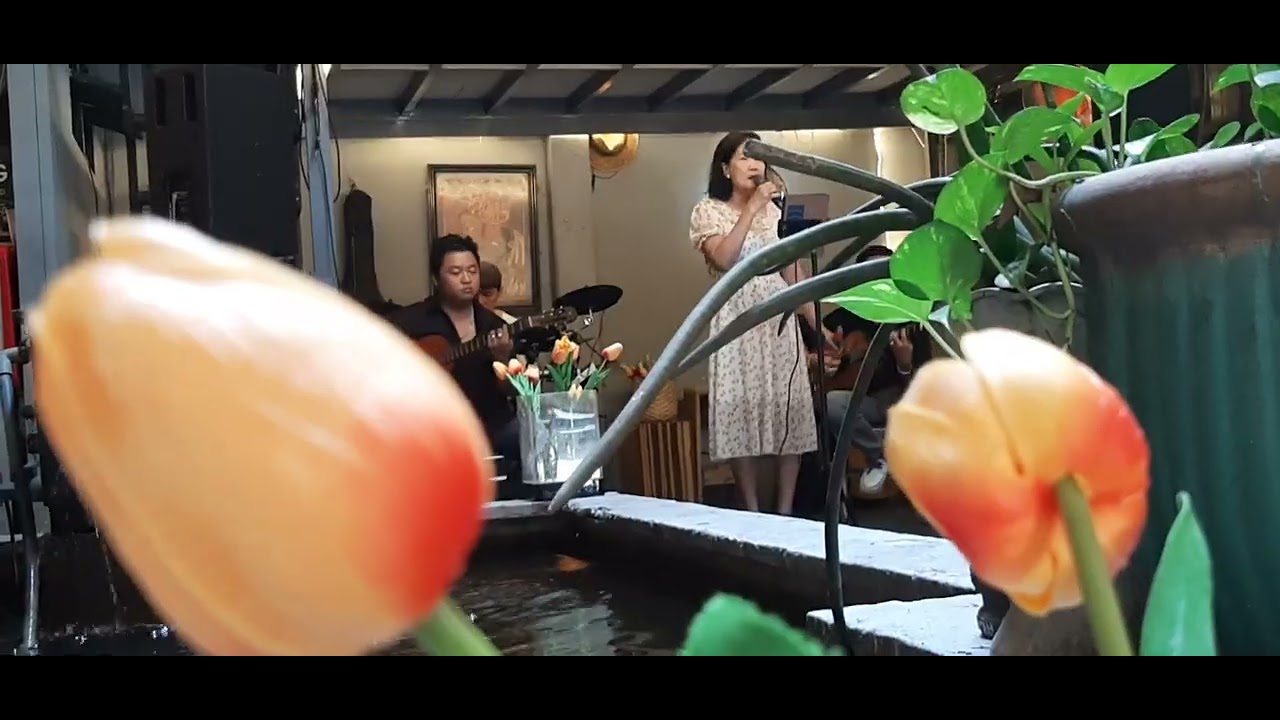 🎼🌻💖🏵Mộng Chiều Xuân