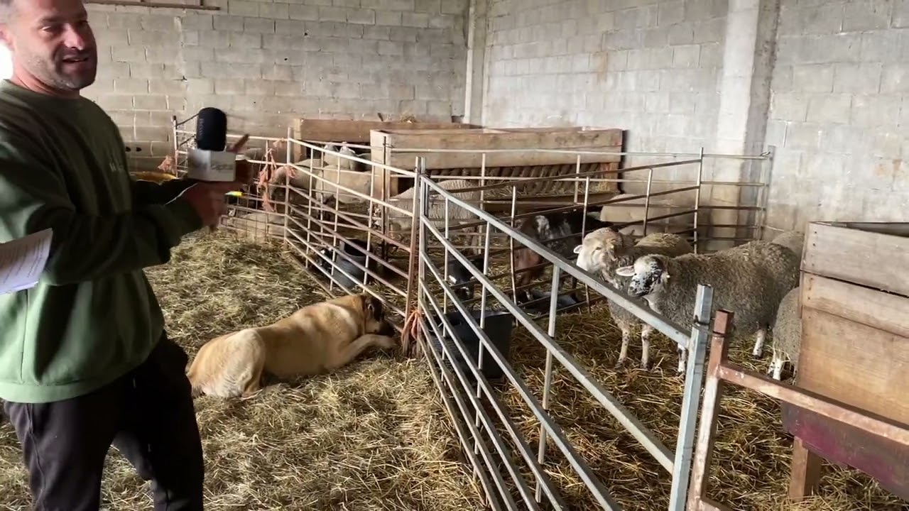 Un mos, un glop - Mas Muxach - Escola de Natura La Coloma