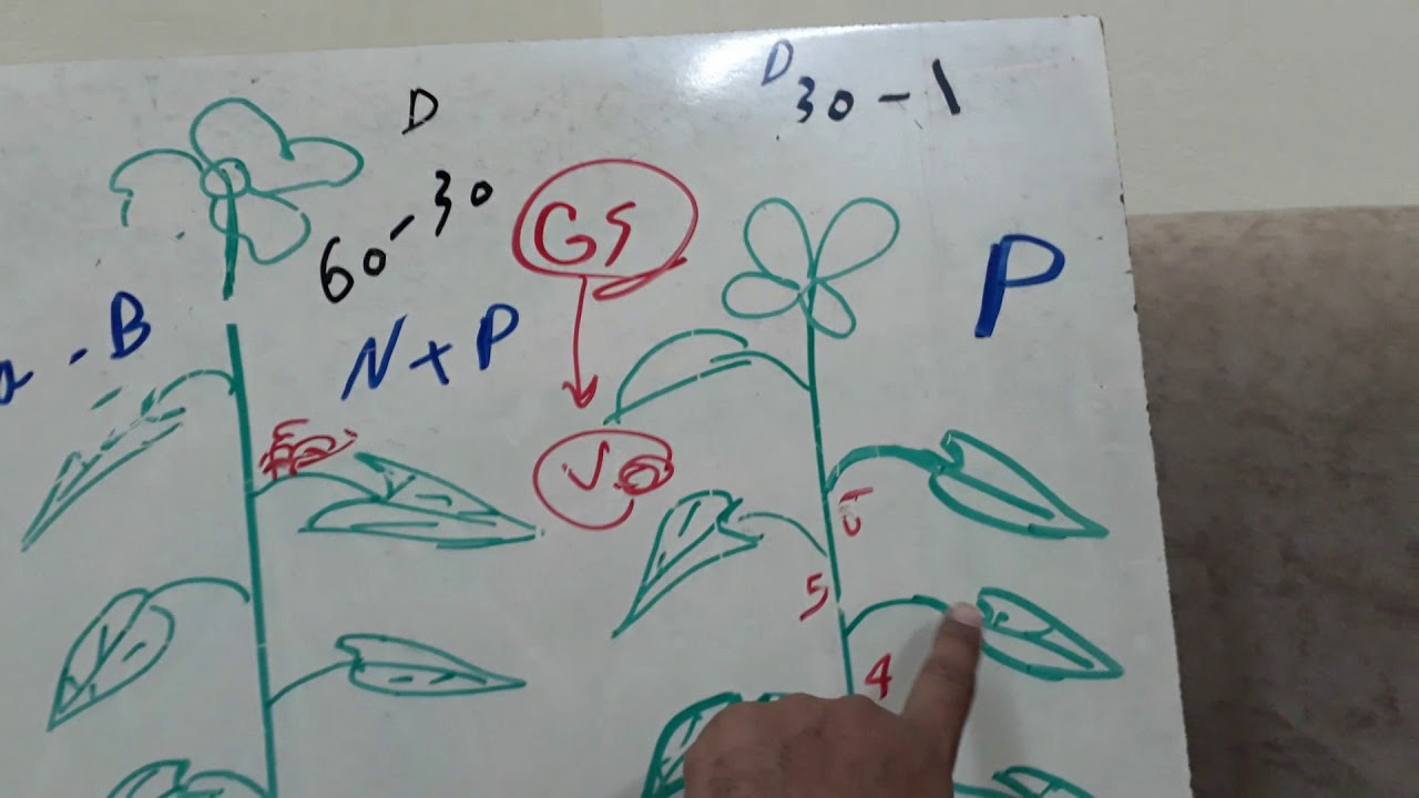 ملاحظات على برامج التسميد ...