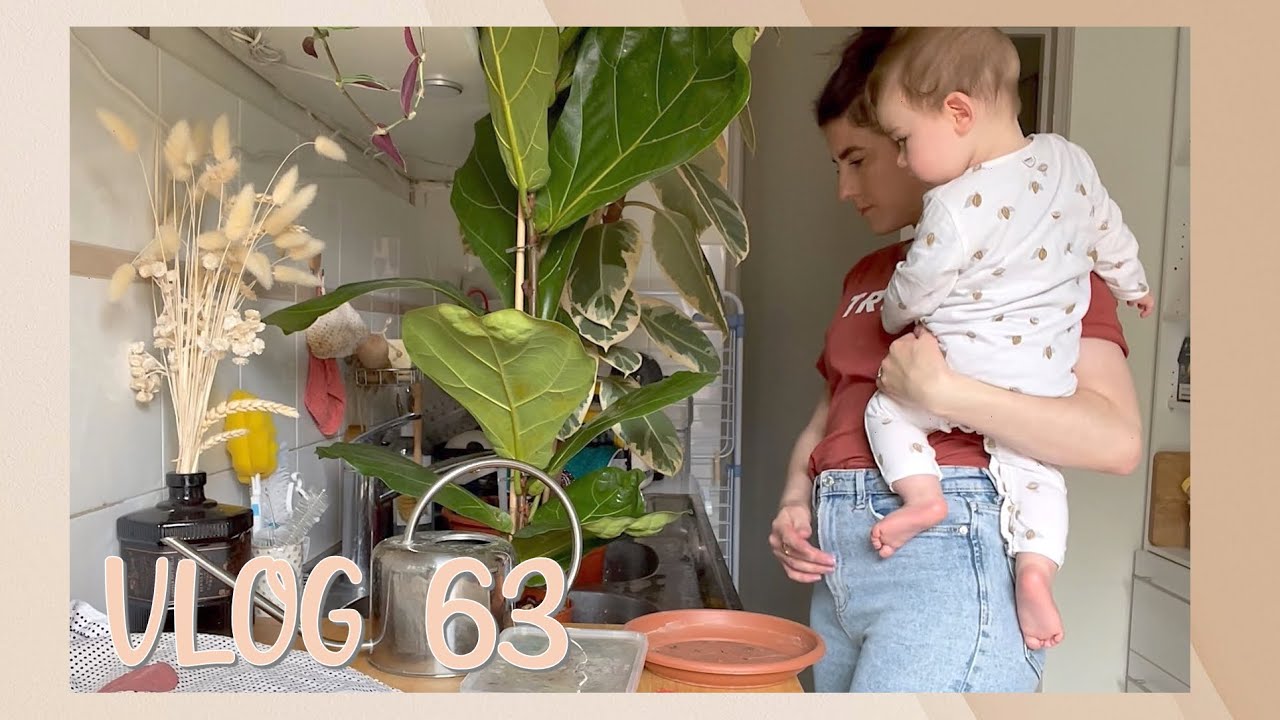 Engrais, Douchage, Bouturage et Caladiums - VLOG 63