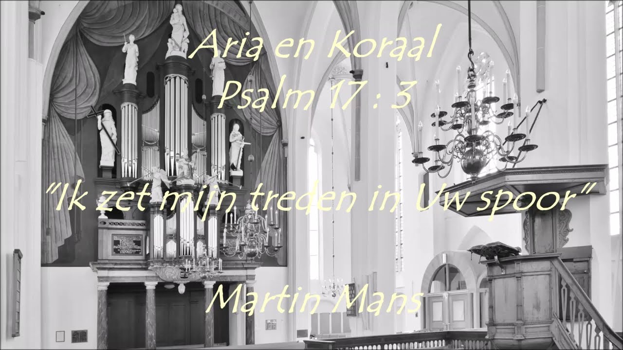 Martin Mans | Psalm 17 | Hanno Bosch orgel Grote of Sint Stephanuskerk Hasselt