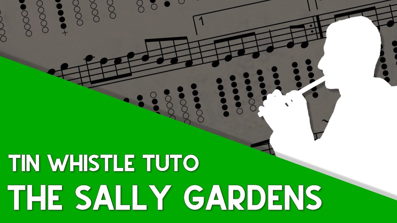 Tin Whistle Tuto - The Sally Gardens (Reel, Gmaj)