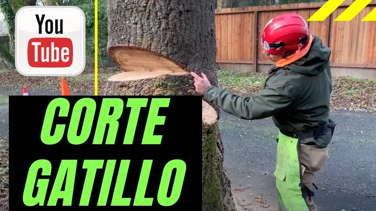 Corte gatillo