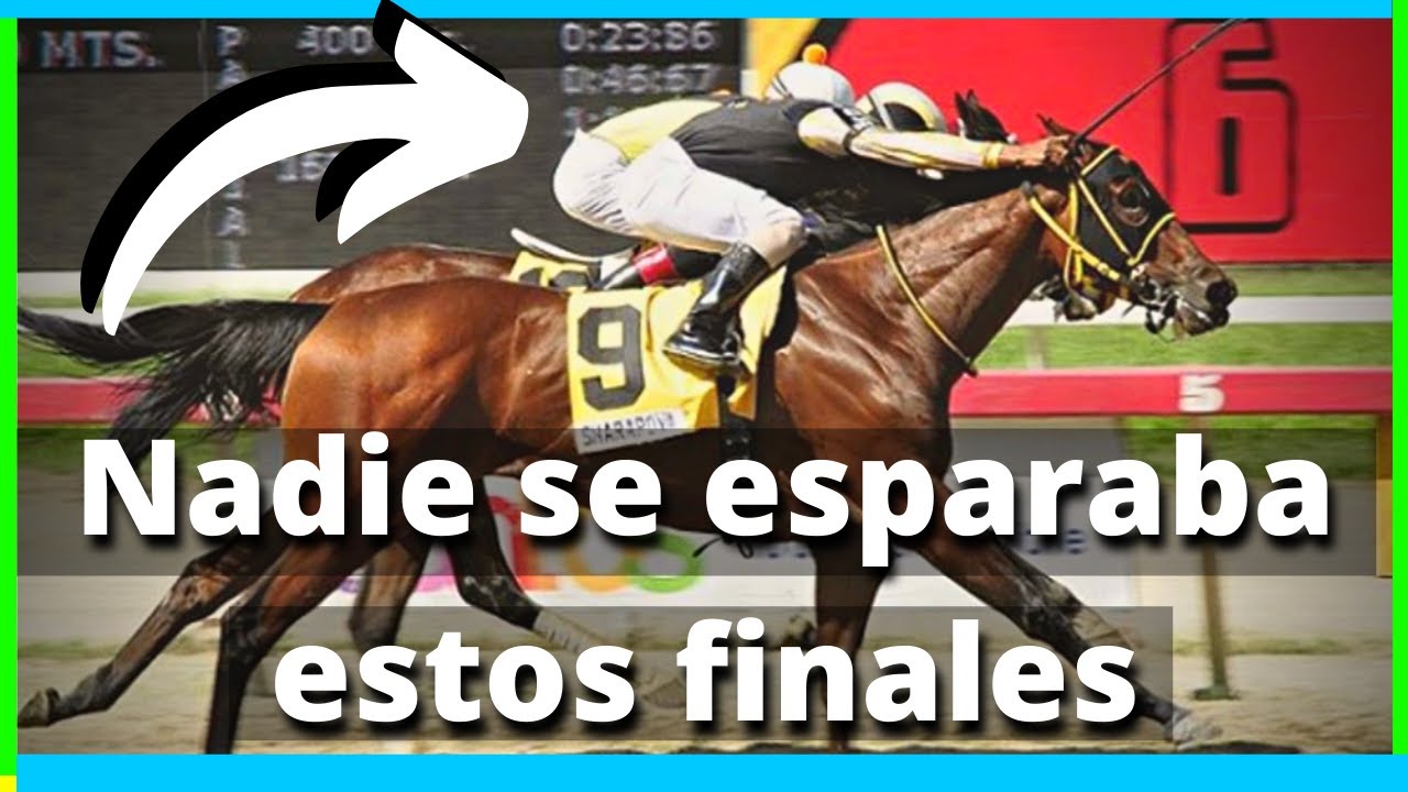 🔥 𝟳 𝗔𝗧𝗥𝗢𝗣𝗘𝗟𝗟𝗔𝗗𝗔𝗦 mas Bestiales de la 𝗥𝗜𝗡𝗖𝗢𝗡𝗔𝗗𝗔 (Todos daban por perdido a estos caballos) 👆👆👆