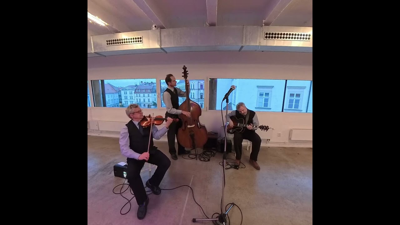 Swing Session Trio - You're Drivin' Me Crazy