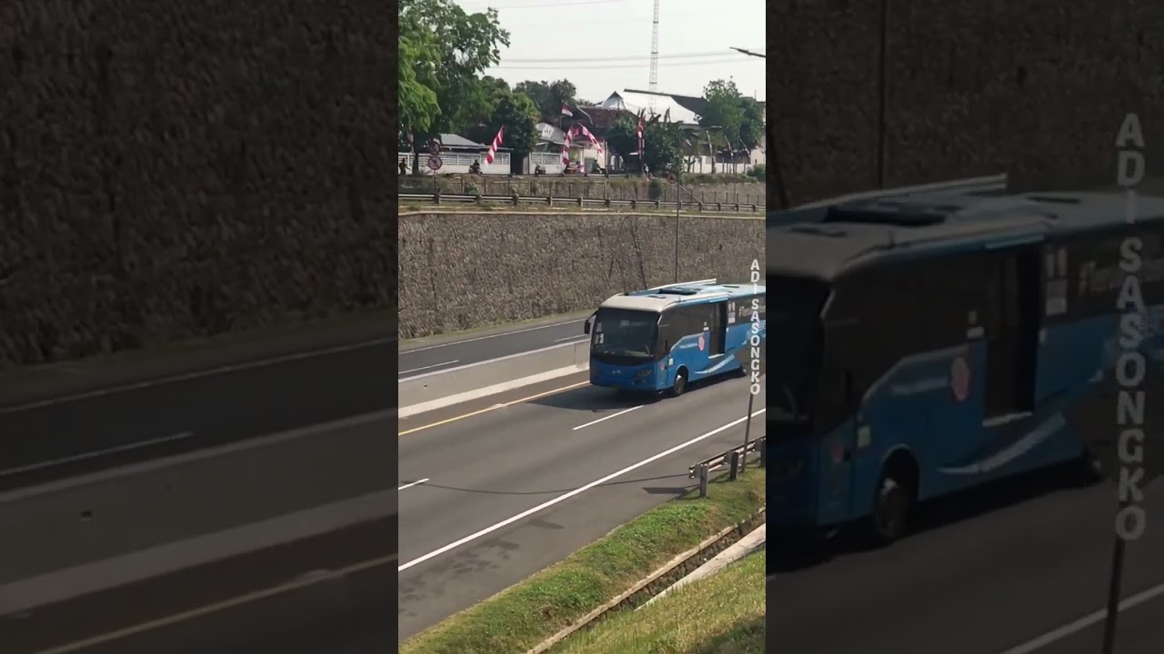 Ada Trans Semarang Koridor 1 lewat tol 🔥 #transsemarang #discovery #laksanabus #buskota #shorts