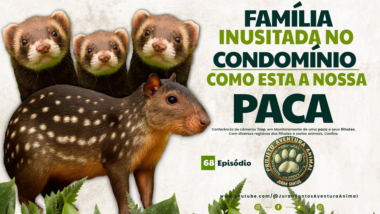 68ª Família Inusitada Visita o Condomínio como esta a nossa paca?