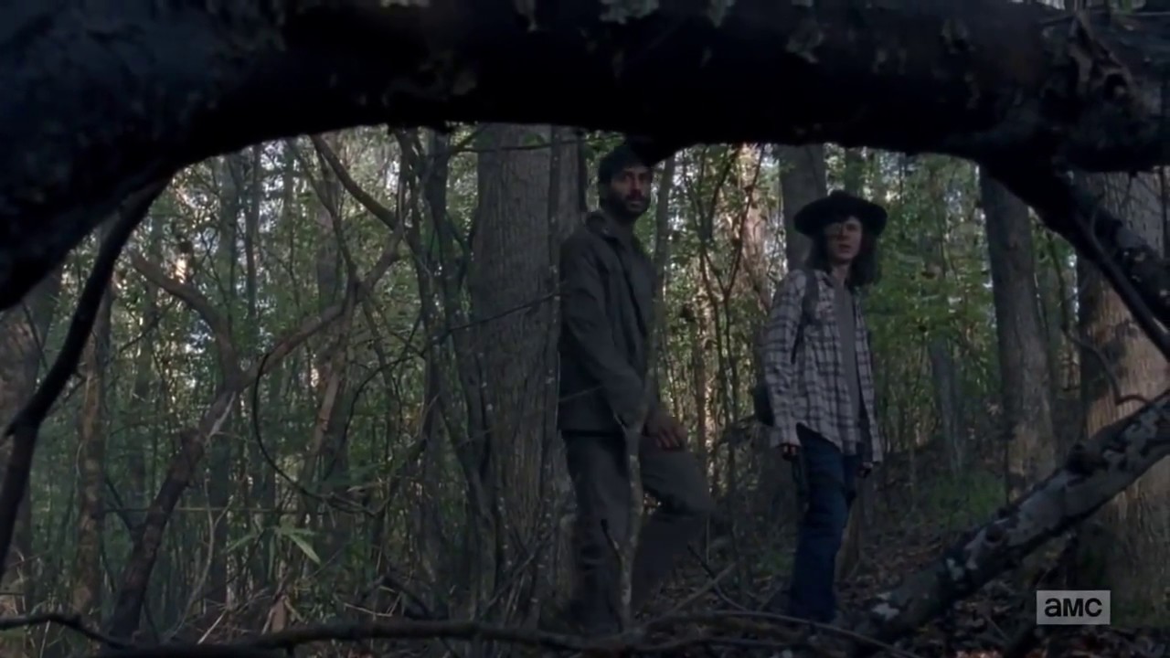 How Carl Grimes gets bit on The Walking Dead.