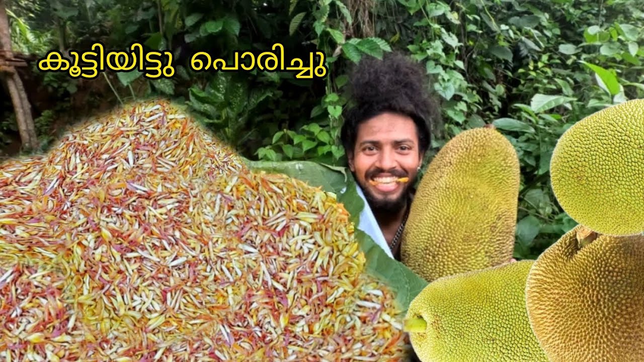fried jackfruit 🙄ചക്ക വെട്ടിക്കൂട്ടി പൊരിച്ചപ്പോൾ 🙄😋