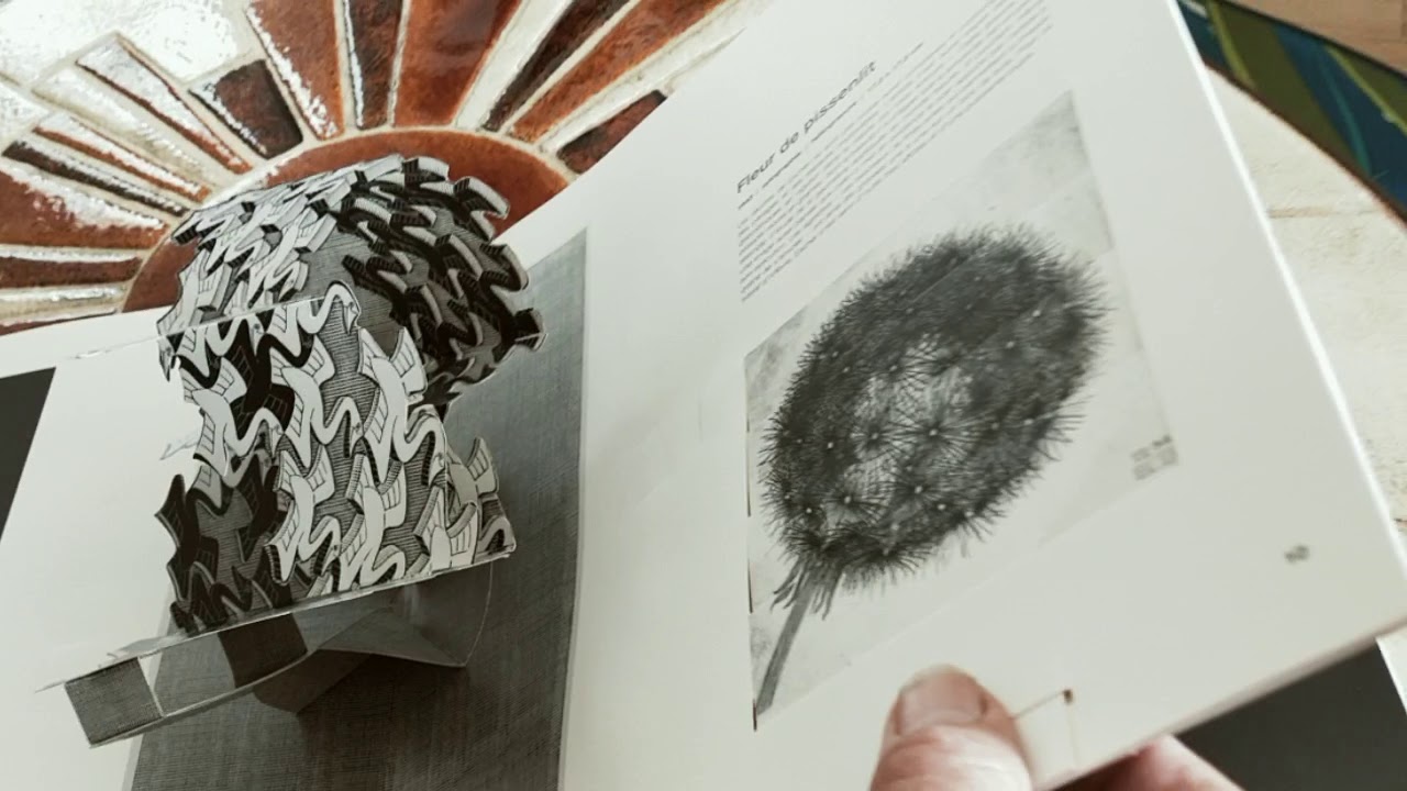 Découverte d'un pop up ou livre à système