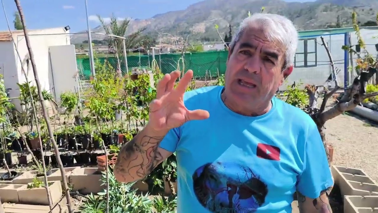 Poda del manzano para formación a eje central, así lo hacemos nosotros.