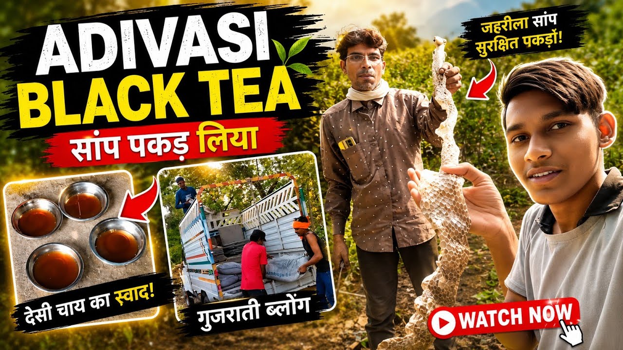 Adivasi Black Tea || Gujrati Vlog || Adivasi Culture || JITU RATHVA VLOG