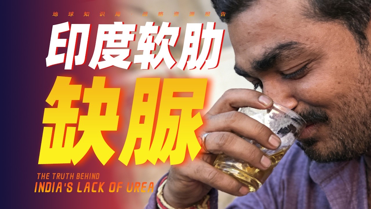 印度现在，非常缺脲！【地球知识局】The Truth Behind India's Lack of Urea