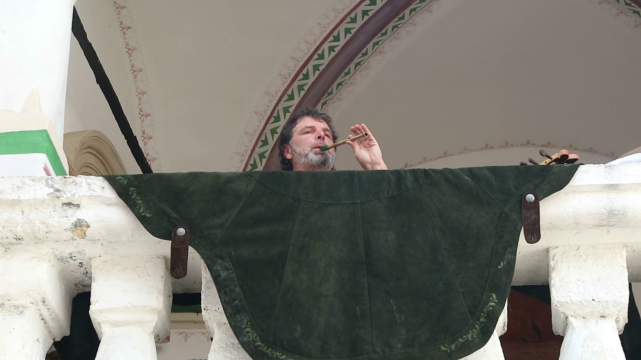 Meister Kolk