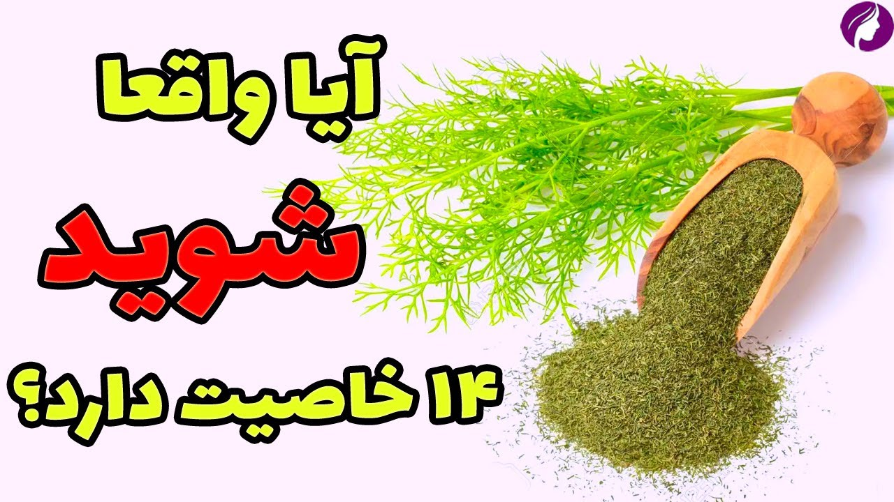 خواص شوید 😍 14 خاصیت شوید این سبزی سرشار از ویتامین و مواد معدنی