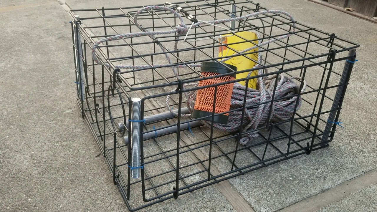 Danielson Box Crab Trap Tips