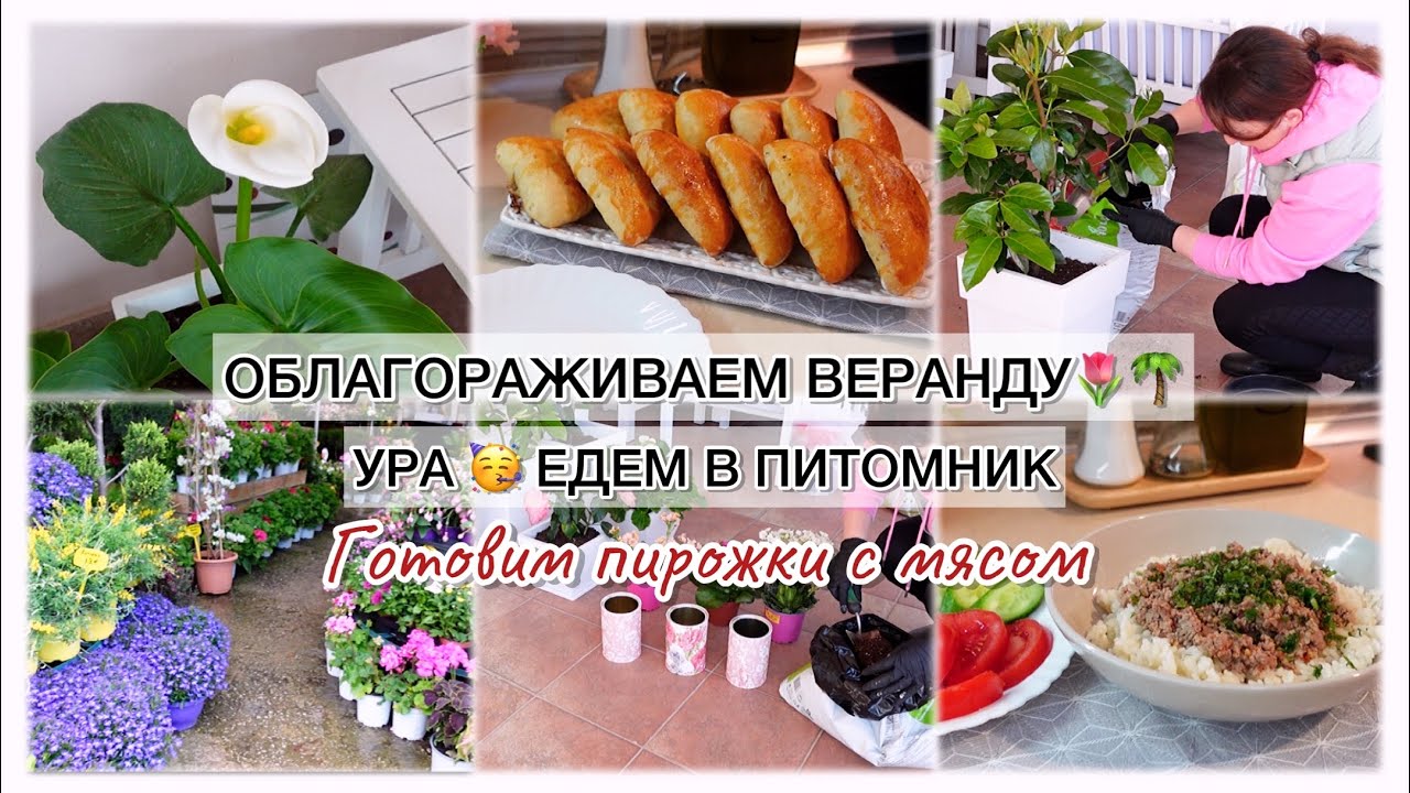 ОБЛАГОРАЖИВАЕМ ВЕРАНДУ🌴 УРА ЕДЕМ В ПИТОМНИК 🥳 ГОТОВИМ ПИРОЖКИ С МЯСОМ 😋