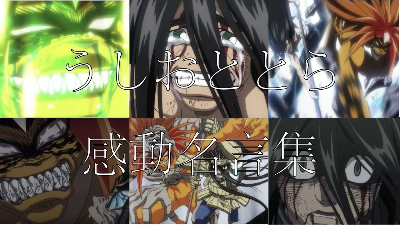 [Tik Tok 80万再生突破]アニメ/うしおととら　感動　名言集・名場面集　MAD　〜平井 大 / 祈り花 2020