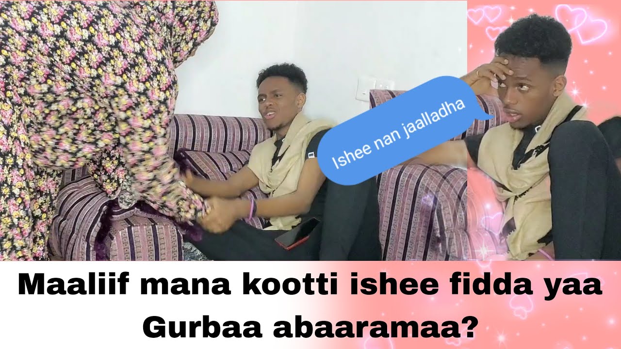 Yaa saree mana koo keessatti maal hojjechaa turte?