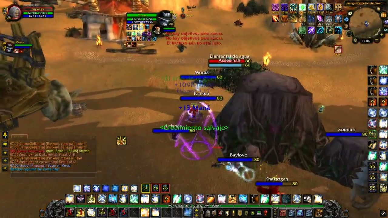 La Shadowmourne en ret... Warsong Gulch (Paladín retribution) ft ZyrokoF | Pngu WoWAura