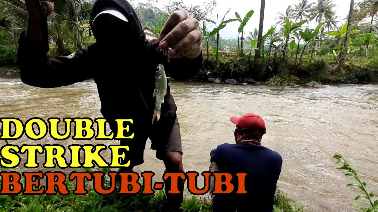 MANCING DI SUNGAI ARUS DERAS - CARA DASARAN DAN TEKNIK NUTUL || MAYO MANCING