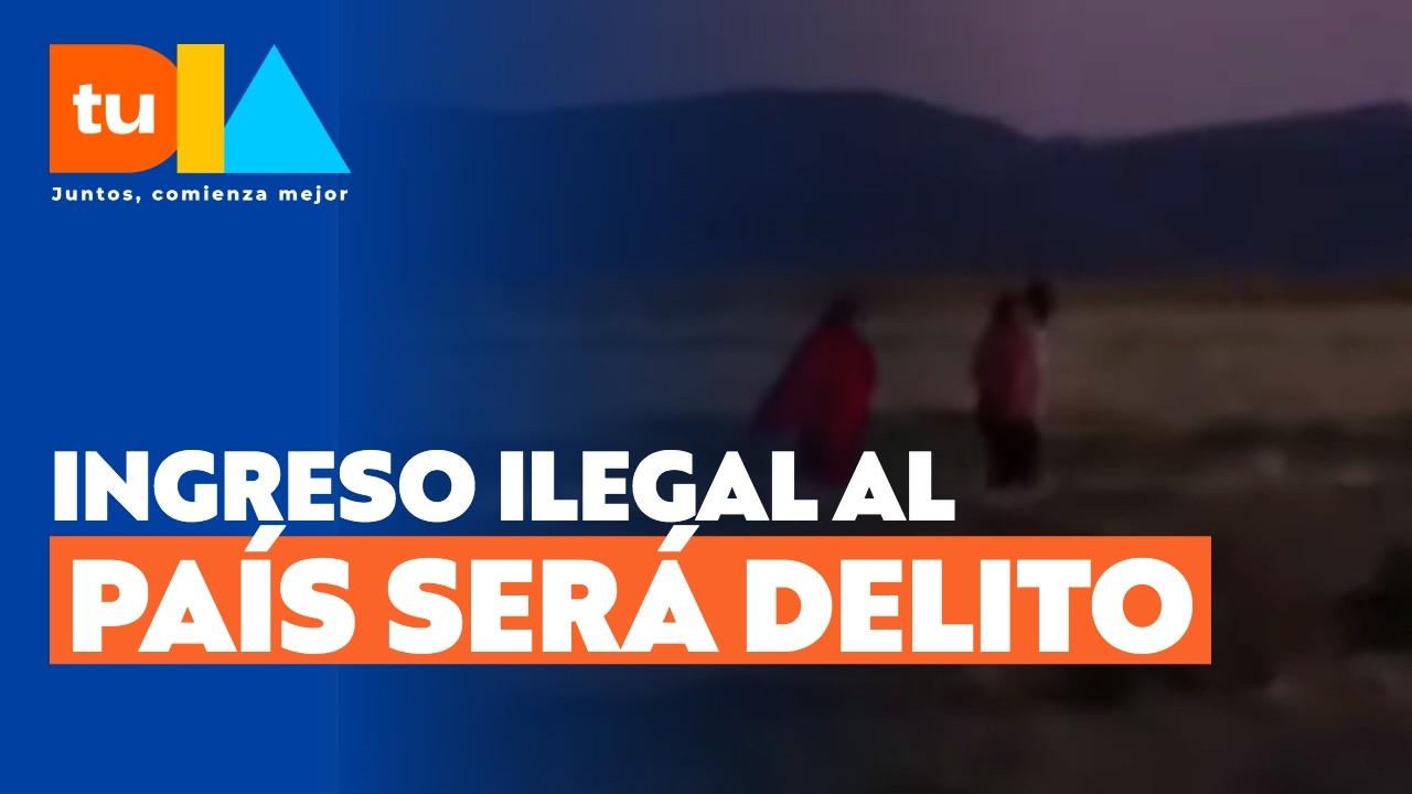 Anuncian proyecto de ley que tipificará como delito el ingreso ilegal al país  l Tu Día