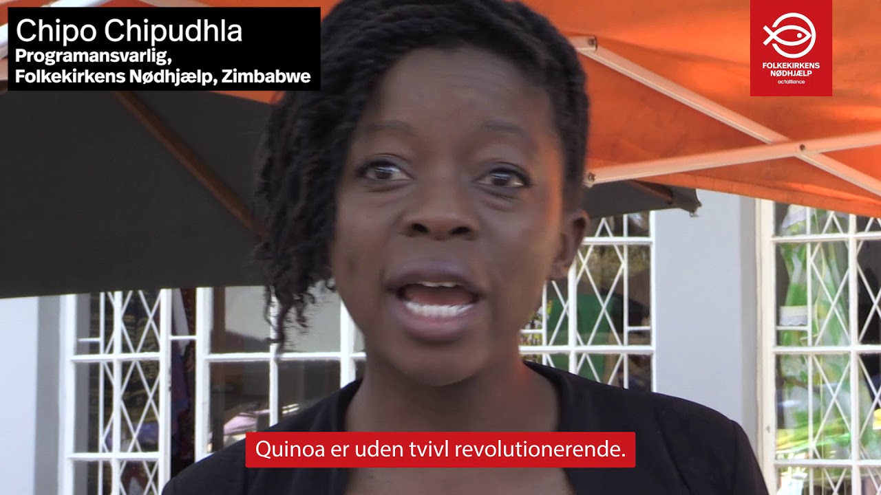 Klimaresistente afgr&oslash;der: Quinoa og amarant