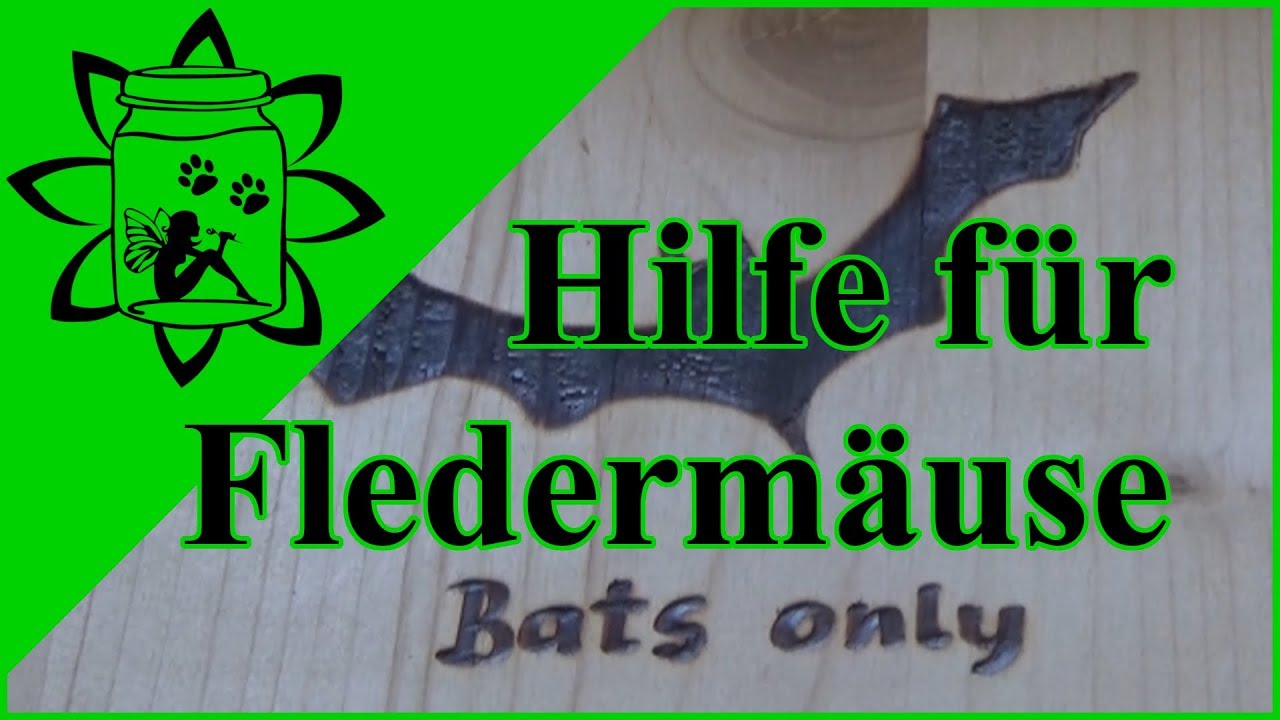 Hilfe für Fledermäuse | Fledermauskasten | Artenschutz