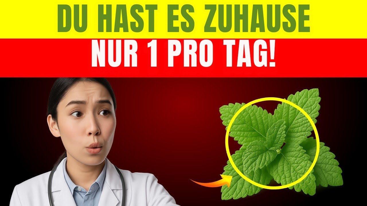 WUNDER! 1 Blatt ZERST&Ouml;RT DIABETES, Schlechtes Cholesterin und BAUCHFETT! | Seniorengesundheit