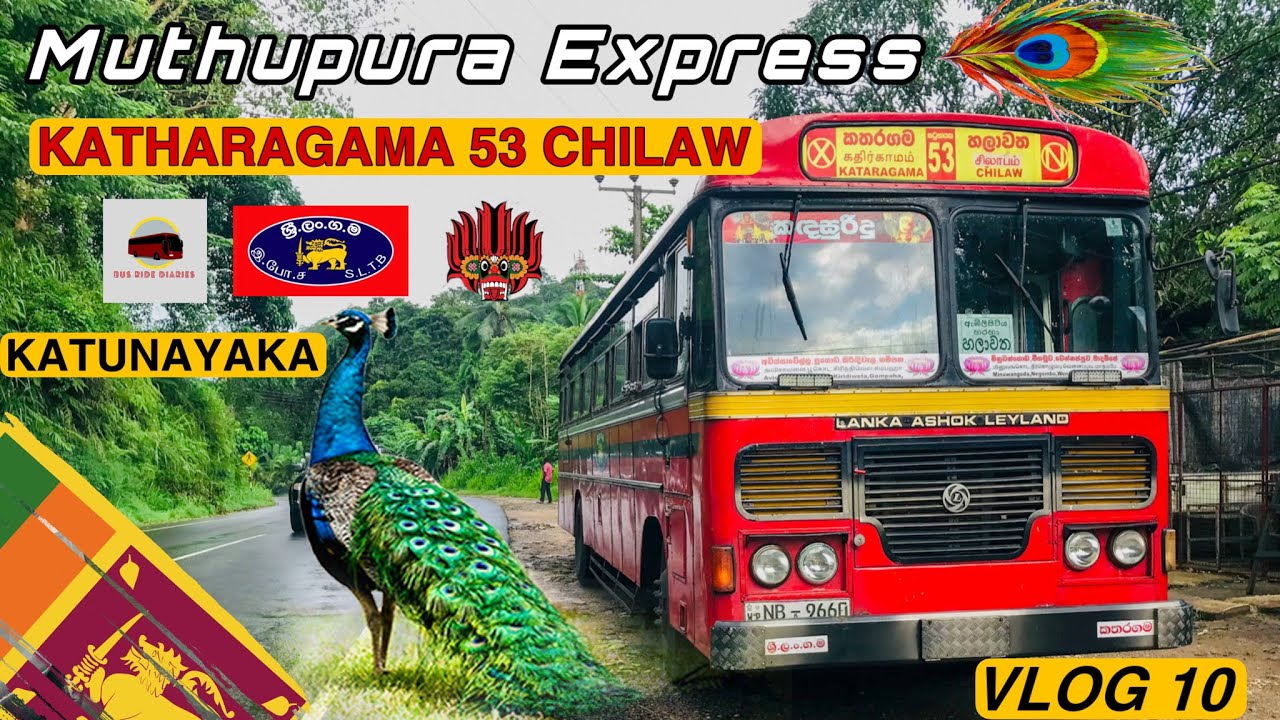 Muthupura Express ❤️ Katharagama To Chilaw 🇱🇰 | S.L.T.B.Katharagama 🚀|Vlog 10