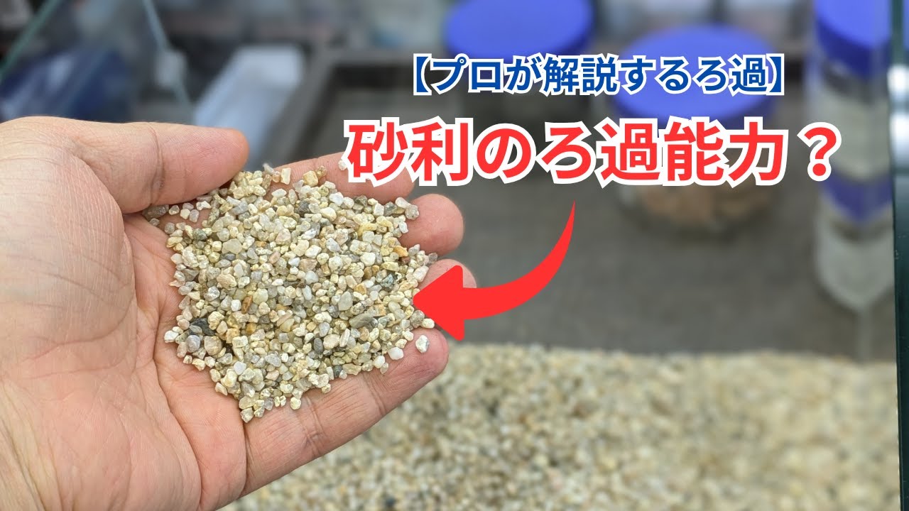【ろ過の基礎のお話】底砂利をろ過の目線で解説！