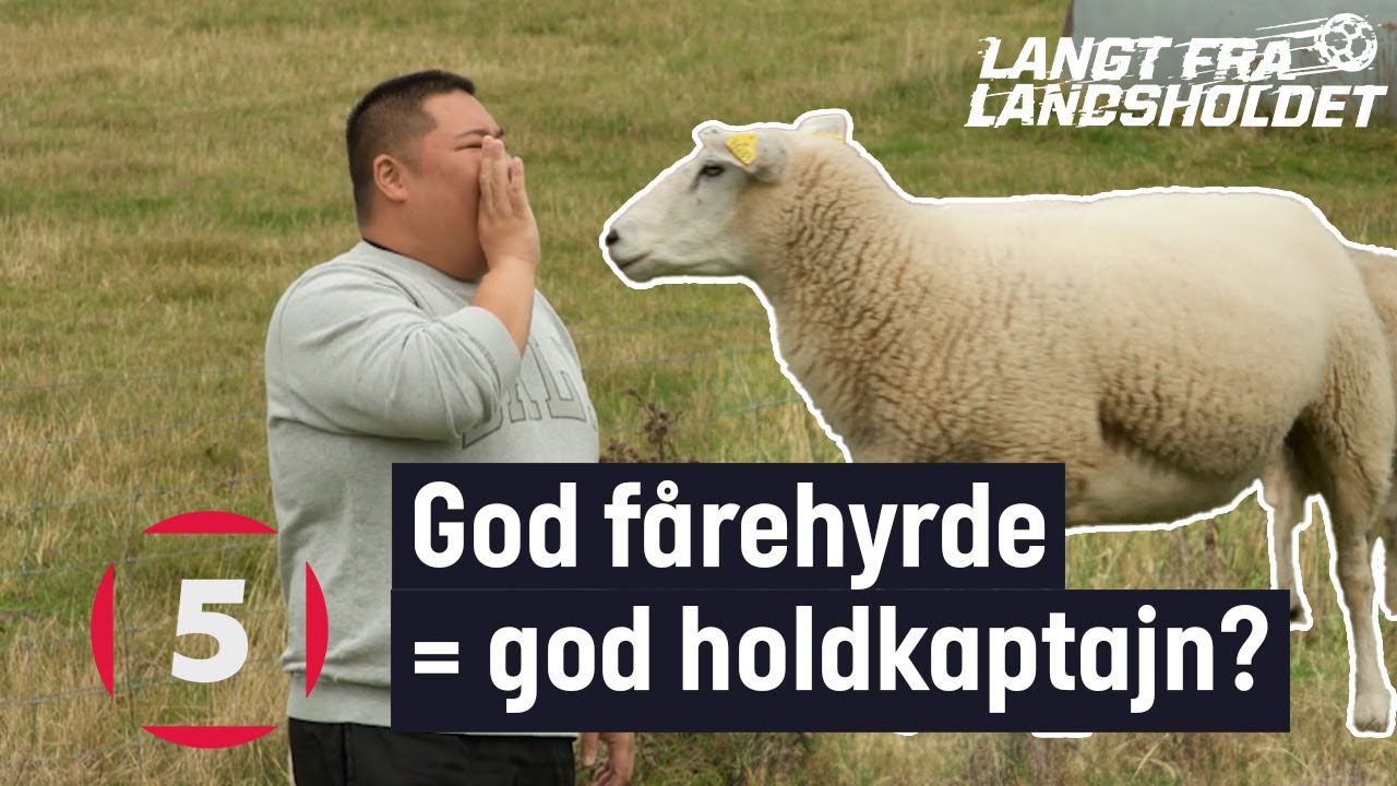 Fårene skal skilles fra bukkene! | Langt Fra Landsholdet | Kanal 5 Danmark