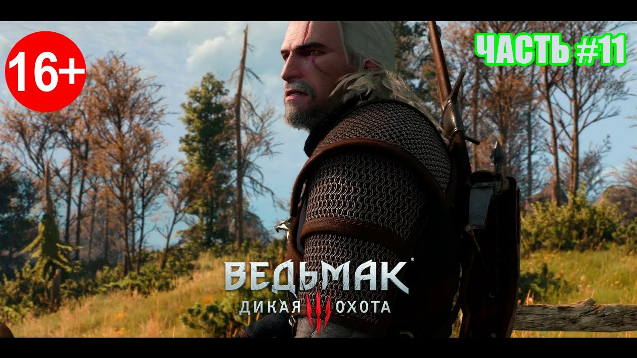Продолжаем  ►Ведьмак 3: Дикая Охота ► Серия#11