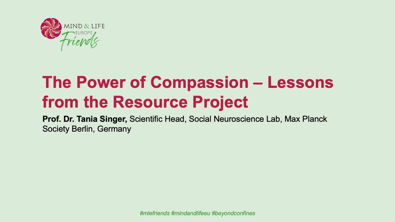 MLE Friends webinar: 