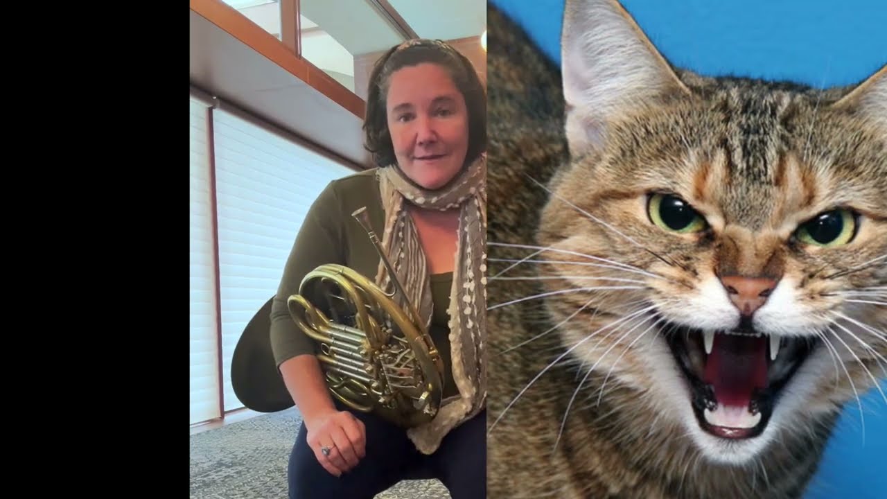 Jennifer Montone discusses jaw injuries and the french horn #horn #frenchhorn #brassinstrument
