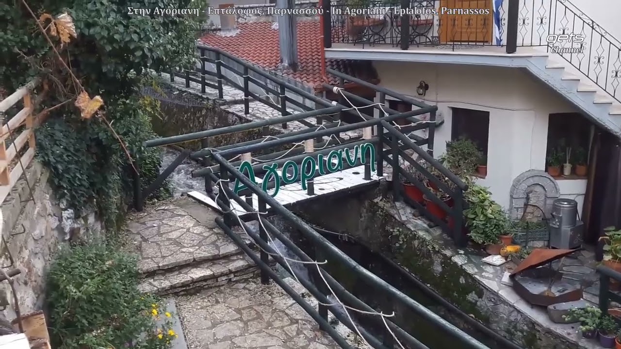 Στην #Αγόριανη - Επτάλοφος, Παρνασσού/ In Agoriani - Eptalofos, Parnassos-GREECE - (With subtitles)