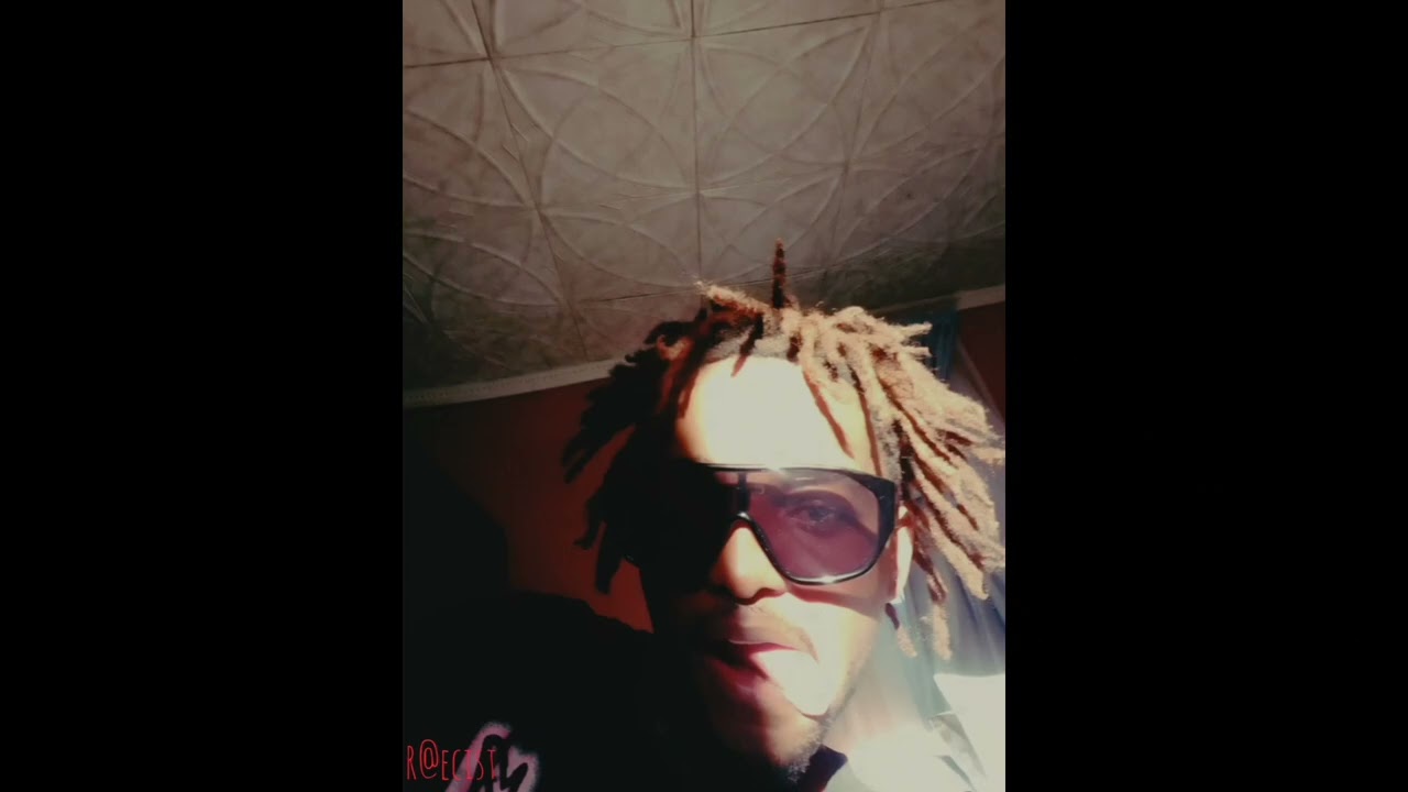 Lil Bee 