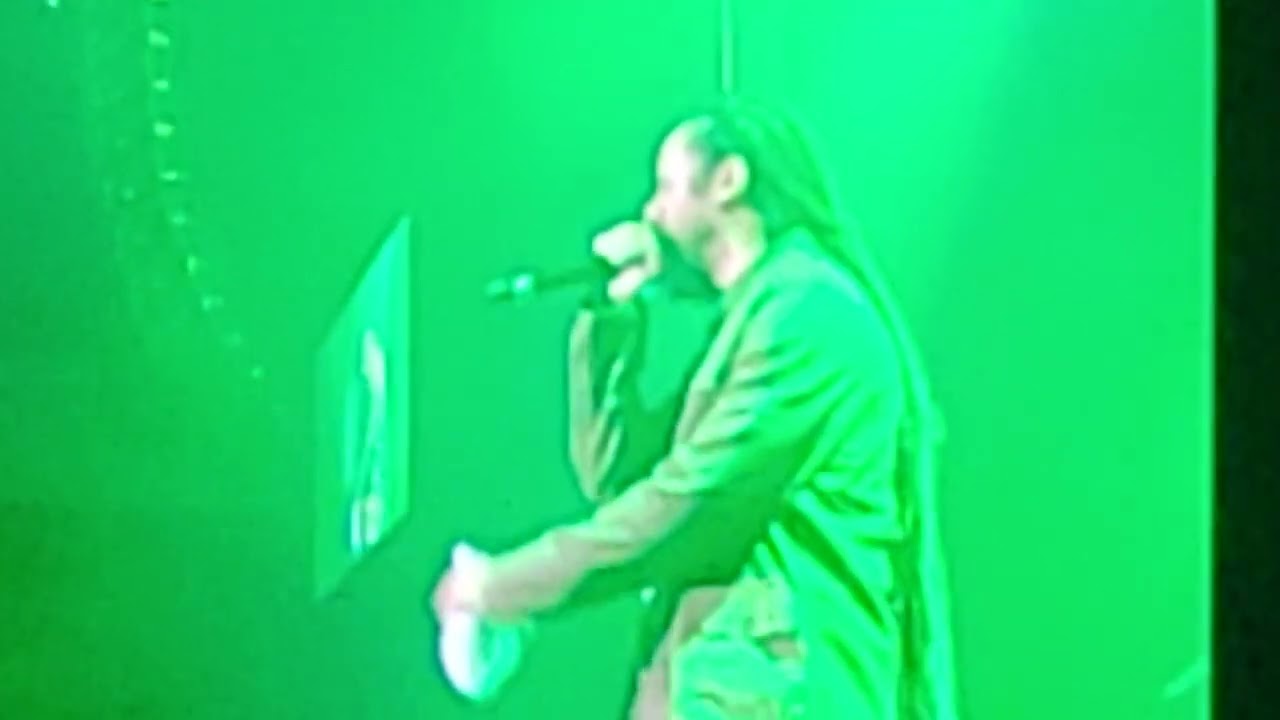 Stephen & Damian Marley - Medication - 7/26/25 - Ocean Hotel Casino, Atlantic City, NJ