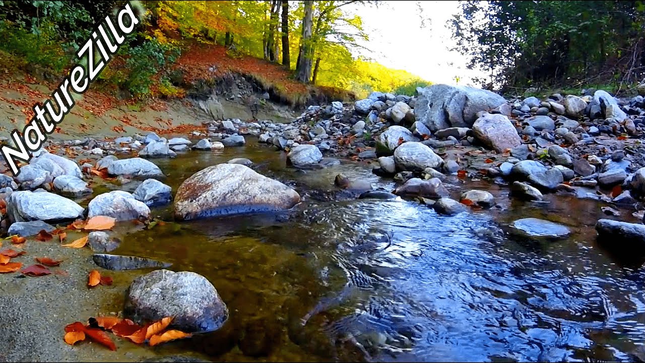 Calming Autumn Creek (Stream). Relaxing Water Sounds. (10 Hours). White Noise Ambience for Sleeping.