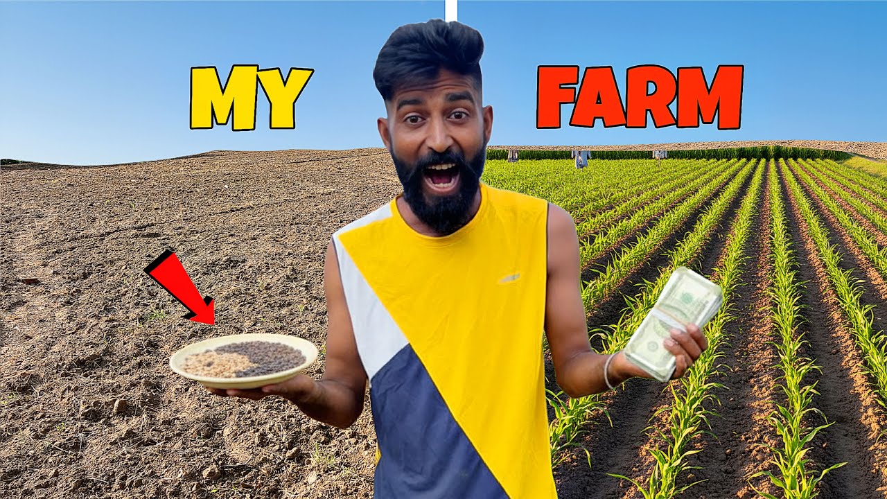 How much I earn 🤑..? मैथी की फसल 🌿