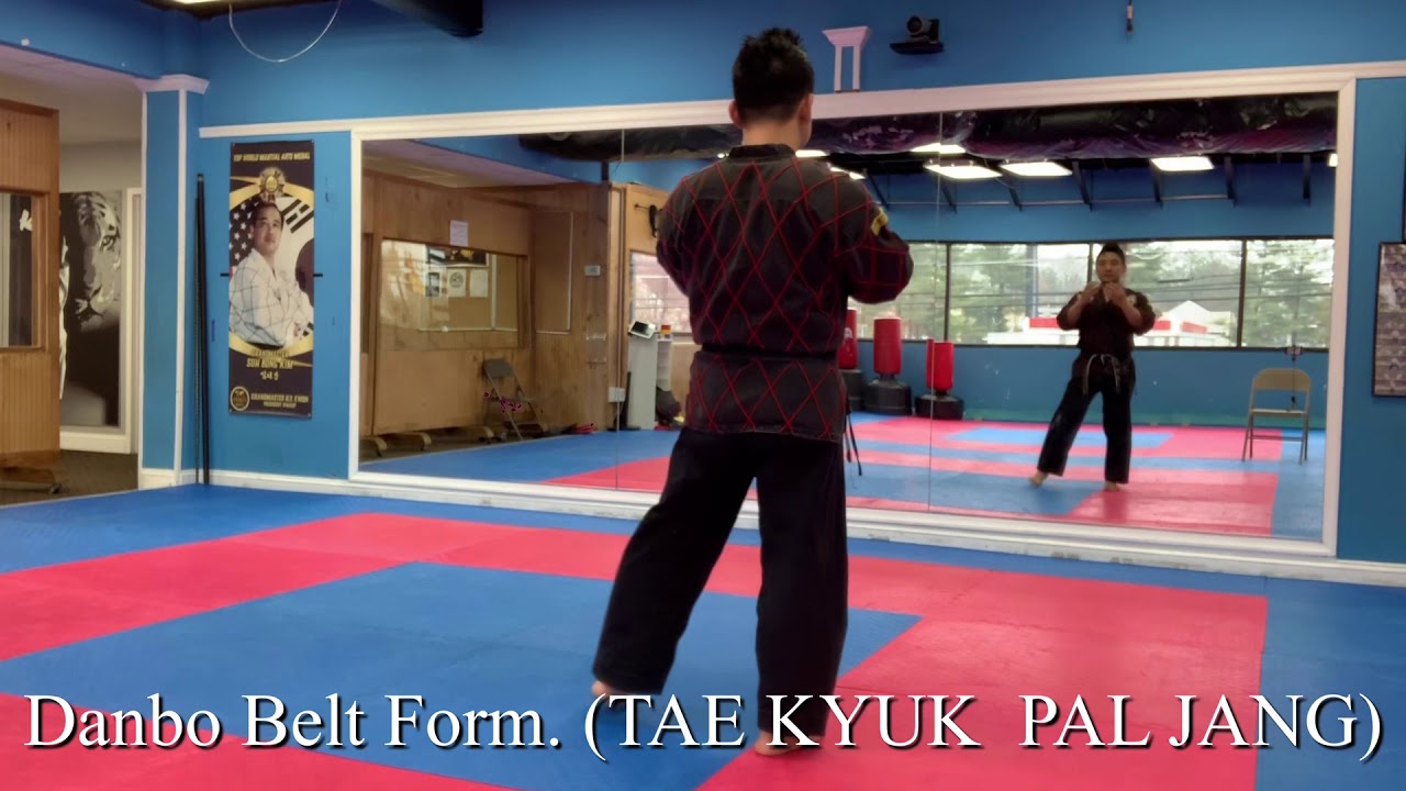 Danbo belt form ( TAE KYUK PAL JANG)