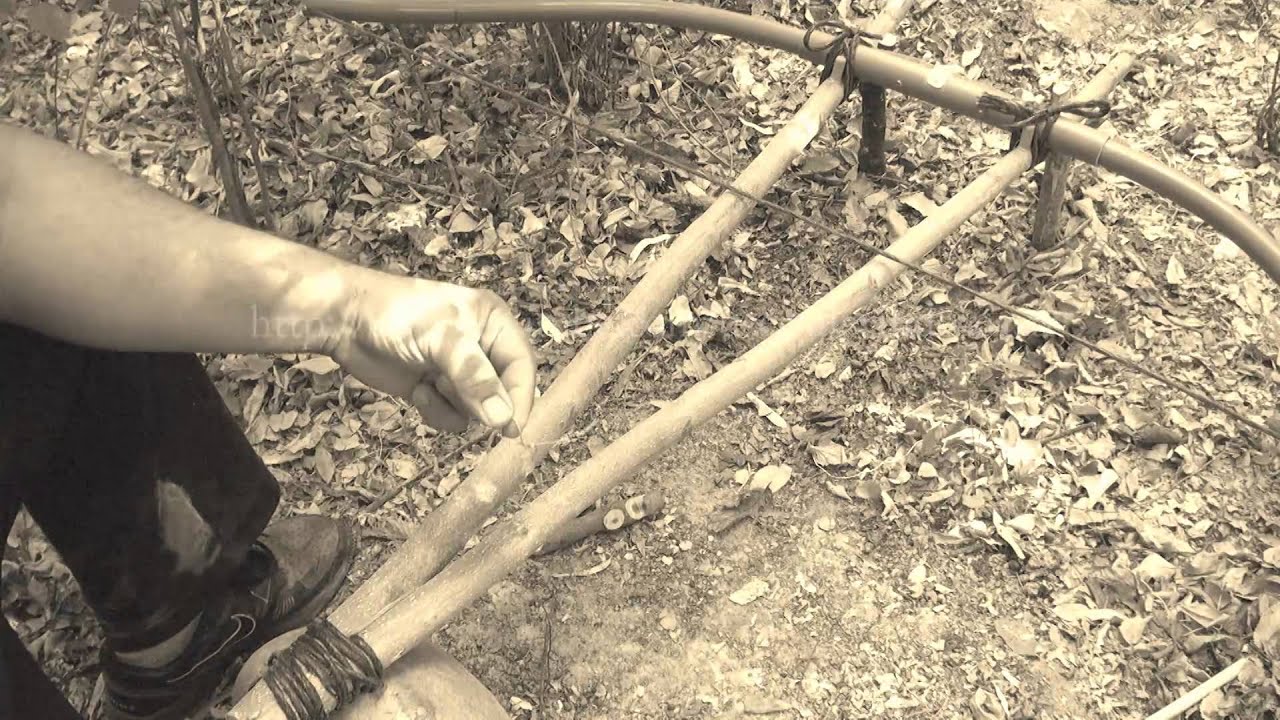Sistema de Caza con un arco al paso