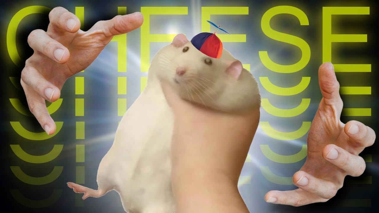 ᴸⁱᵗᵗˡᵉ ᴹᵒᵘˢᵉ 𝗕𝗜𝗚 𝗛𝗢𝗨𝗦𝗘