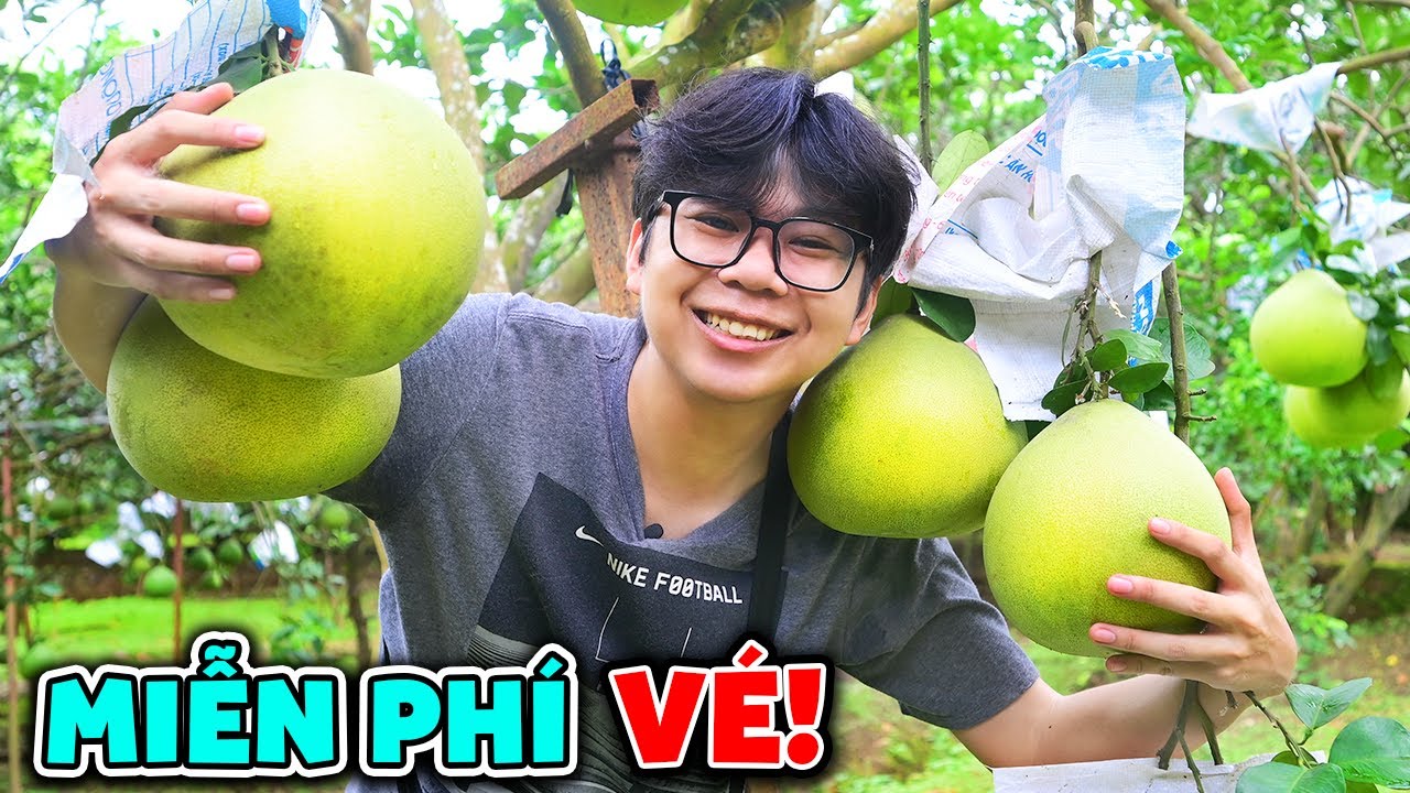 Kh&aacute;m Ph&aacute; Vườn Bưởi Si&ecirc;u To MIỄN PH&Iacute; Gần S&agrave;i G&ograve;n!! L&agrave;ng Bưởi T&acirc;n Triều Năm Huệ