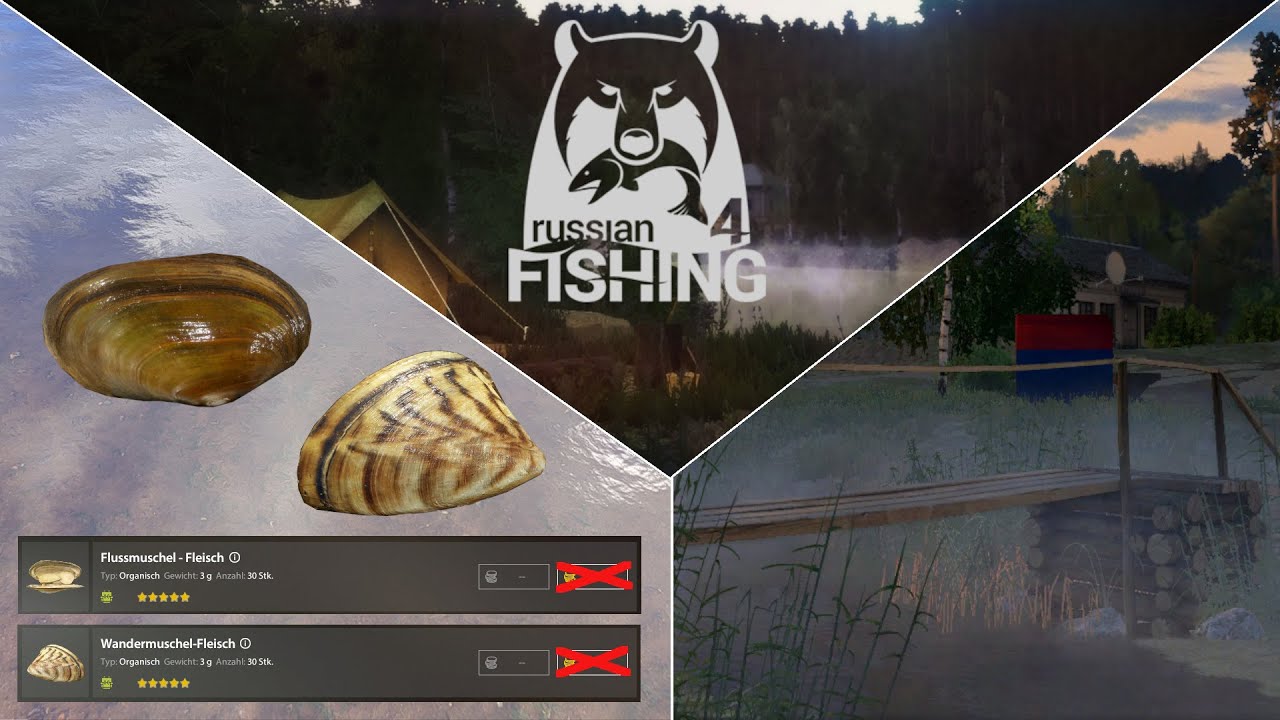 Goldköder ohne Gold? Muscheln angeln! - Ehrenfischer Windenbach | Russian Fishing 4